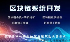 数字货币的崛起如何重塑钱包交易方式