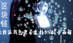 比特派钱包是否支持BNB？全面解析