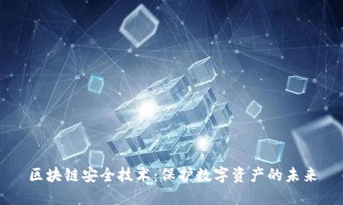 区块链安全技术：保护数字资产的未来