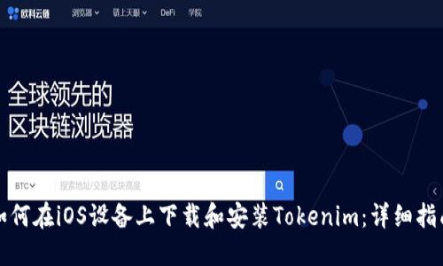 如何在iOS设备上下载和安装Tokenim：详细指南