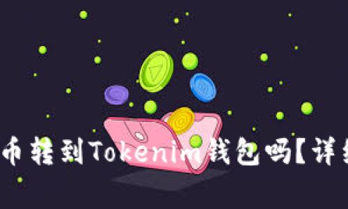 ### 可以把Pig币转到Tokenim钱包吗？详细解析与操作指南