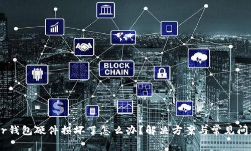 Ledger钱包硬件损坏了怎么办？解决方案与常见问题解析