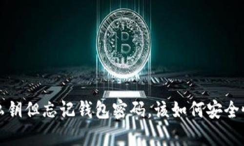  有私钥但忘记钱包密码，该如何安全恢复？