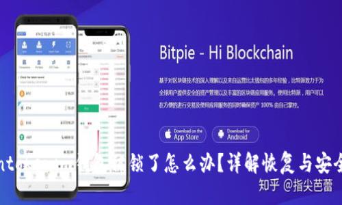 Tokentokenim钱包被锁了怎么办？详解恢复与安全知识