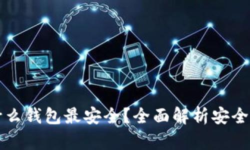 虚拟币用什么钱包最安全？全面解析安全钱包的选择