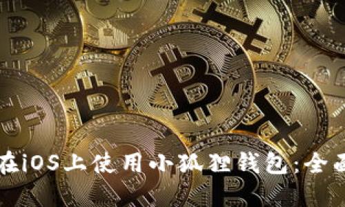 如何在iOS上使用小狐狸钱包:全面指南