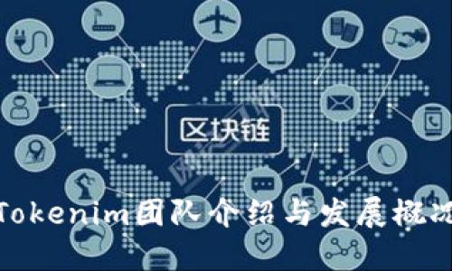 Tokenim团队介绍与发展概况