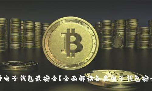 哪种电子钱包最安全？全面解读各类电子钱包安全性