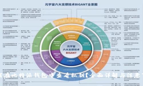 如何在比特派钱包中查看私钥？全面详解与注意事项