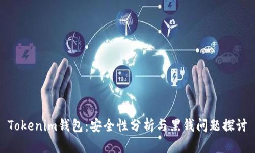 Tokenim钱包：安全性分析与黑钱问题探讨