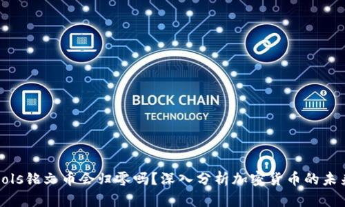 sols铭文币会归零吗？深入分析加密货币的未来