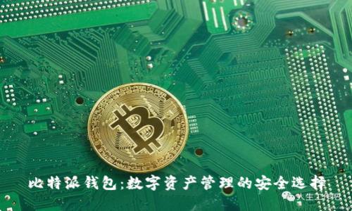 比特派钱包：数字资产管理的安全选择