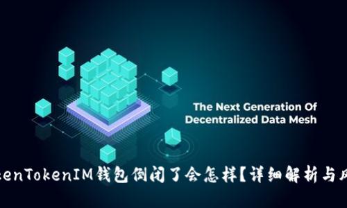 如果TokenTokenIM钱包倒闭了会怎样？详细解析与风险管理