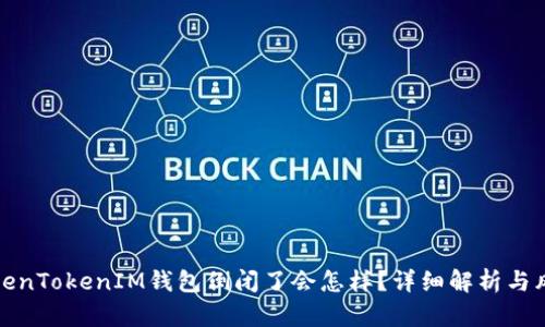 如果TokenTokenIM钱包倒闭了会怎样？详细解析与风险管理
