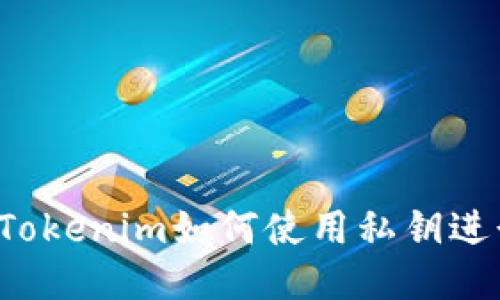 ### Tokenim如何使用私钥进行转账？