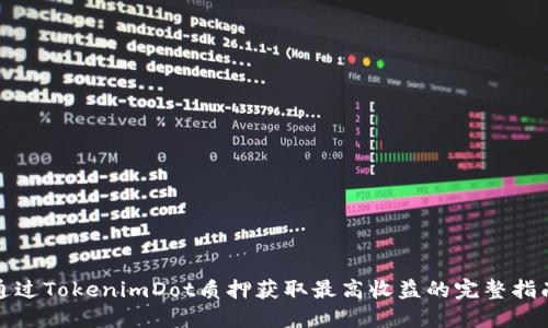 通过TokenimDot质押获取最高收益的完整指南