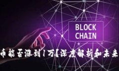 SOL币能否涨到1万？深度解