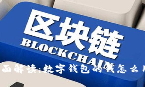 全面解读：数字钱包的钱怎么用？