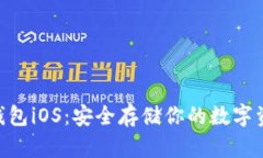 Tokenim冷钱包iOS：安全存储