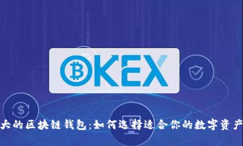 : 全球最大的区块链钱包：如何选择适合你的数字资产存储工具