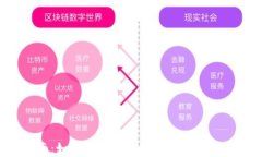 全面指南：如何下载和使