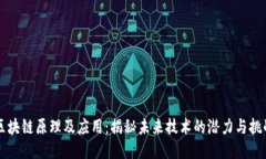区块链原理及应用：揭秘