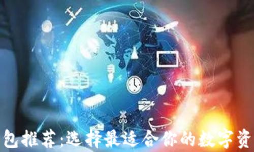 
数字货币钱包推荐：选择最适合你的数字资产存储方案