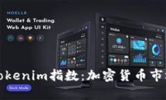 深入解析Tokenim指数：加密