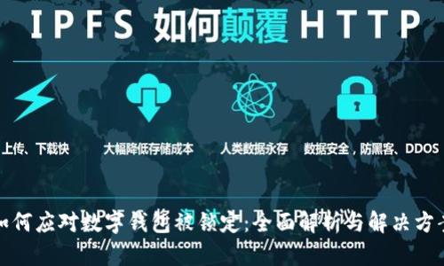 如何应对数字钱包被锁定：全面解析与解决方案