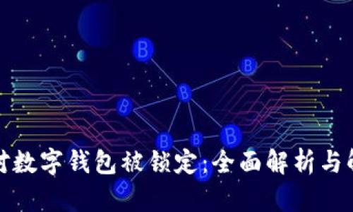 如何应对数字钱包被锁定：全面解析与解决方案