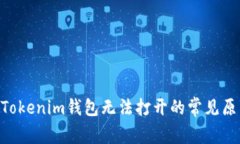 ### TokenTokenim钱包无法打开