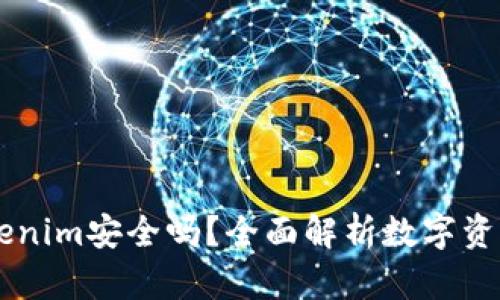 币提到Tokenim安全吗？全面解析数字资产安全问题
