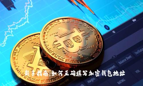 : 新手指南：如何正确填写加密钱包地址