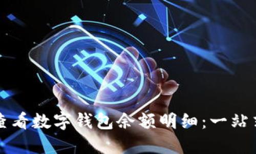 如何查看数字钱包余额明细：一站式指南