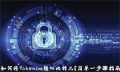 如何将Tokenim转入比特儿？