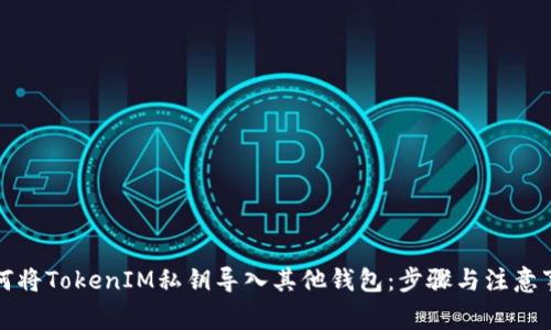 如何将TokenIM私钥导入其他钱包：步骤与注意事项