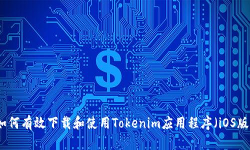 如何有效下载和使用Tokenim应用程序（iOS版）