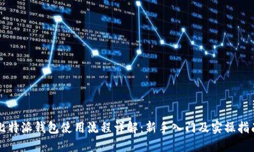 比特派钱包使用流程详解：新手入门及实操指南