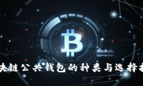 区块链公共钱包的种类与选择指南