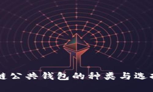 区块链公共钱包的种类与选择指南