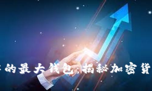 区块链世界中的最大钱包：揭秘加密货币的财富集中