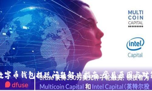 数字币钱包提现问题解决指南：常见原因与对策