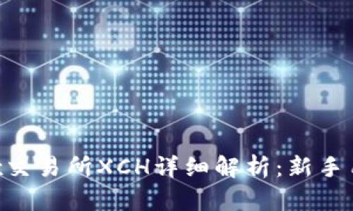 2023年OKEx交易所XCH详细解析：新手用户必看指南