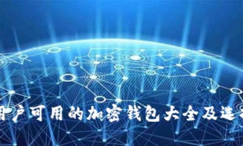 中国用户可用的加密钱包大全及选择指南