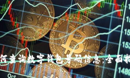 如何查询数字钱包号码信息：全面指南