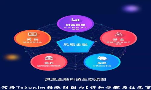
如何将Tokenim转账到国内？详细步骤与注意事项