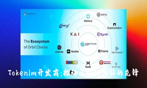 Tokenim开发商：推动区块链创新的先锋