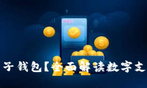 什么是电子钱包？全面解读数字支付的未来