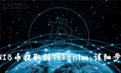 如何将SHIB币提取到Tokenim：详细步骤与指导