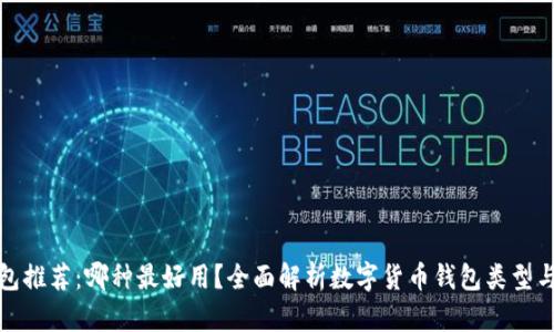 数字币钱包推荐：哪种最好用？全面解析数字货币钱包类型与选择指南